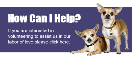 How Can I Help?