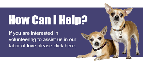 Help support Waukesha pet shelter